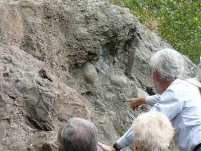 silurian_beach_2.jpg